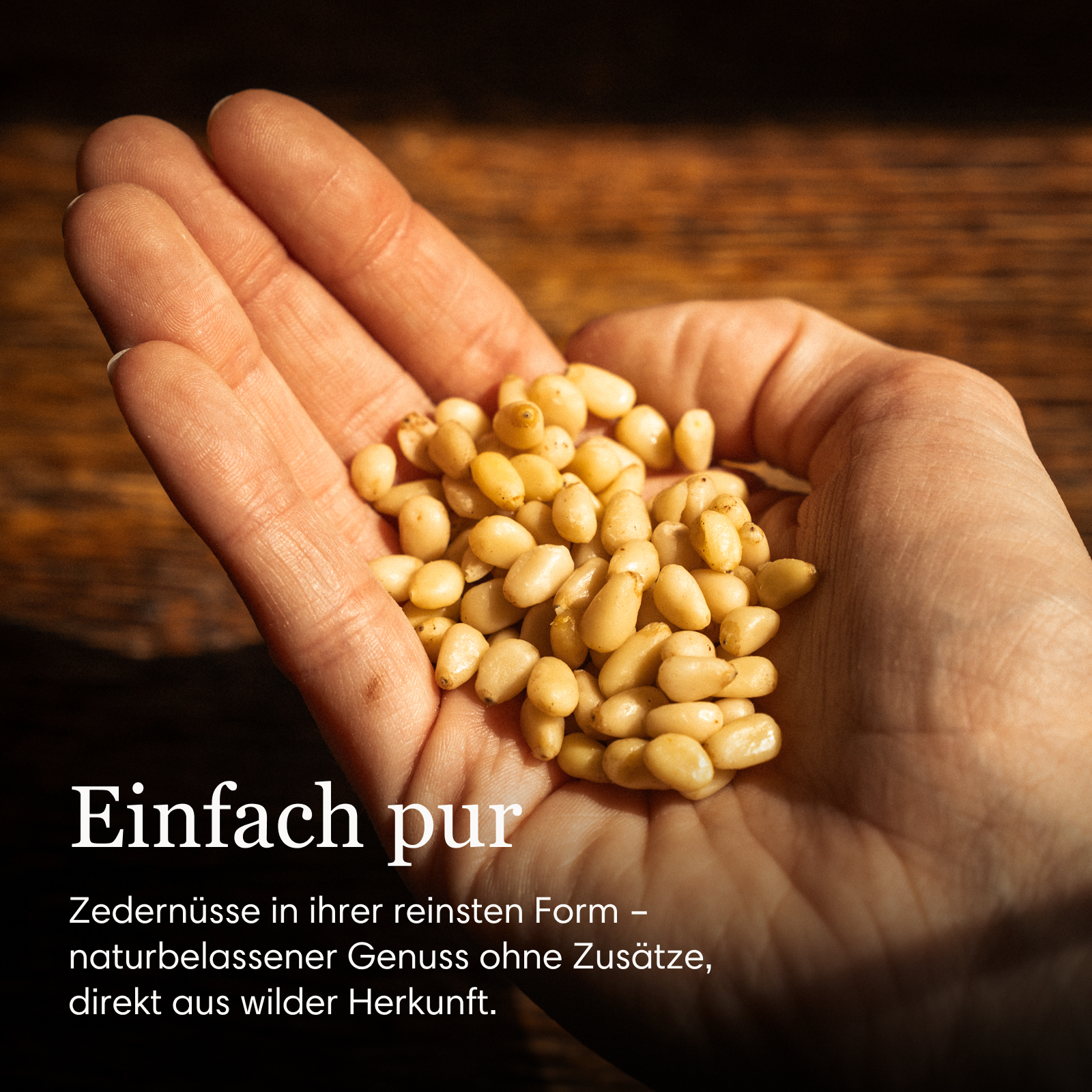 Kraft der Taiga Set