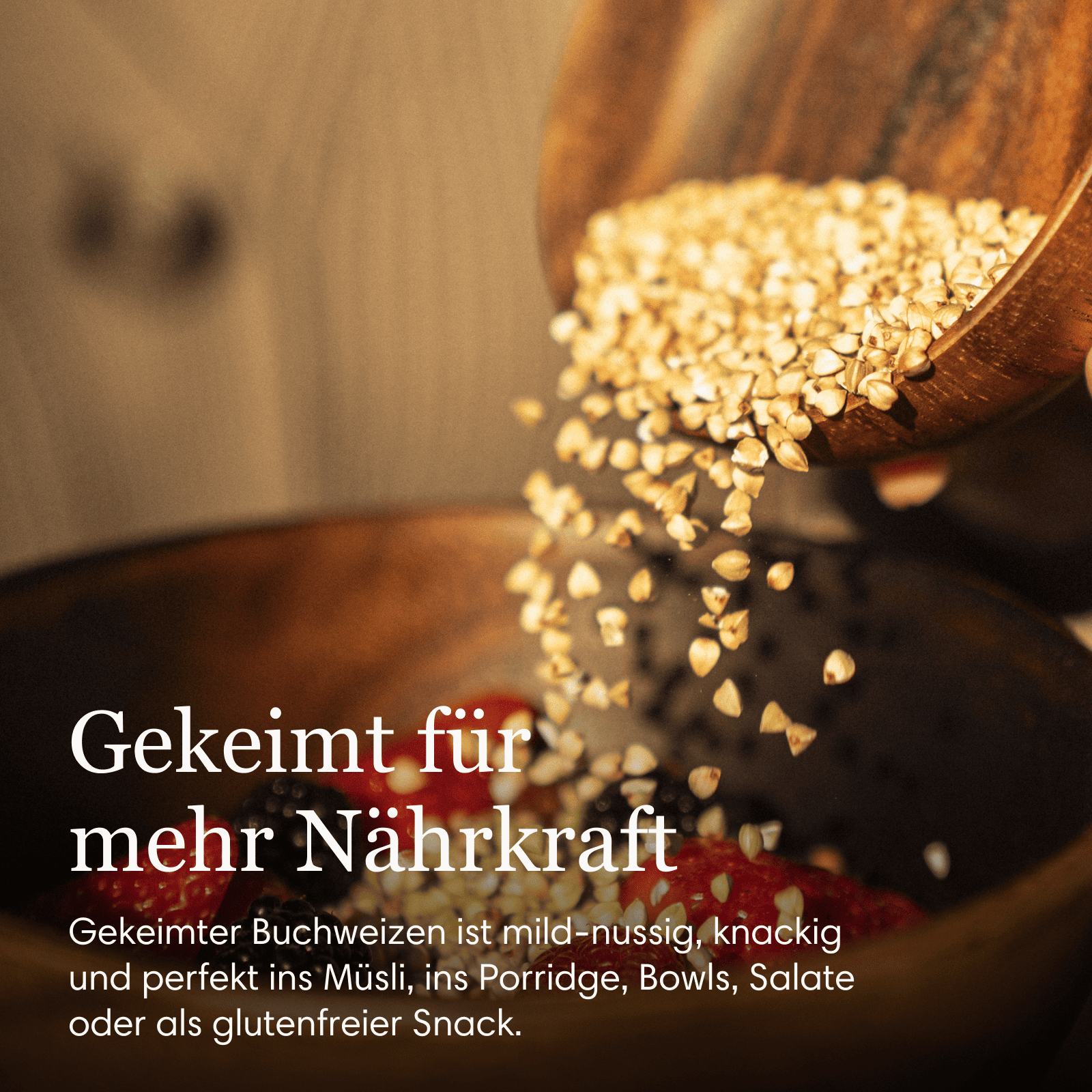 Buchweizen, angekeimt, bio
