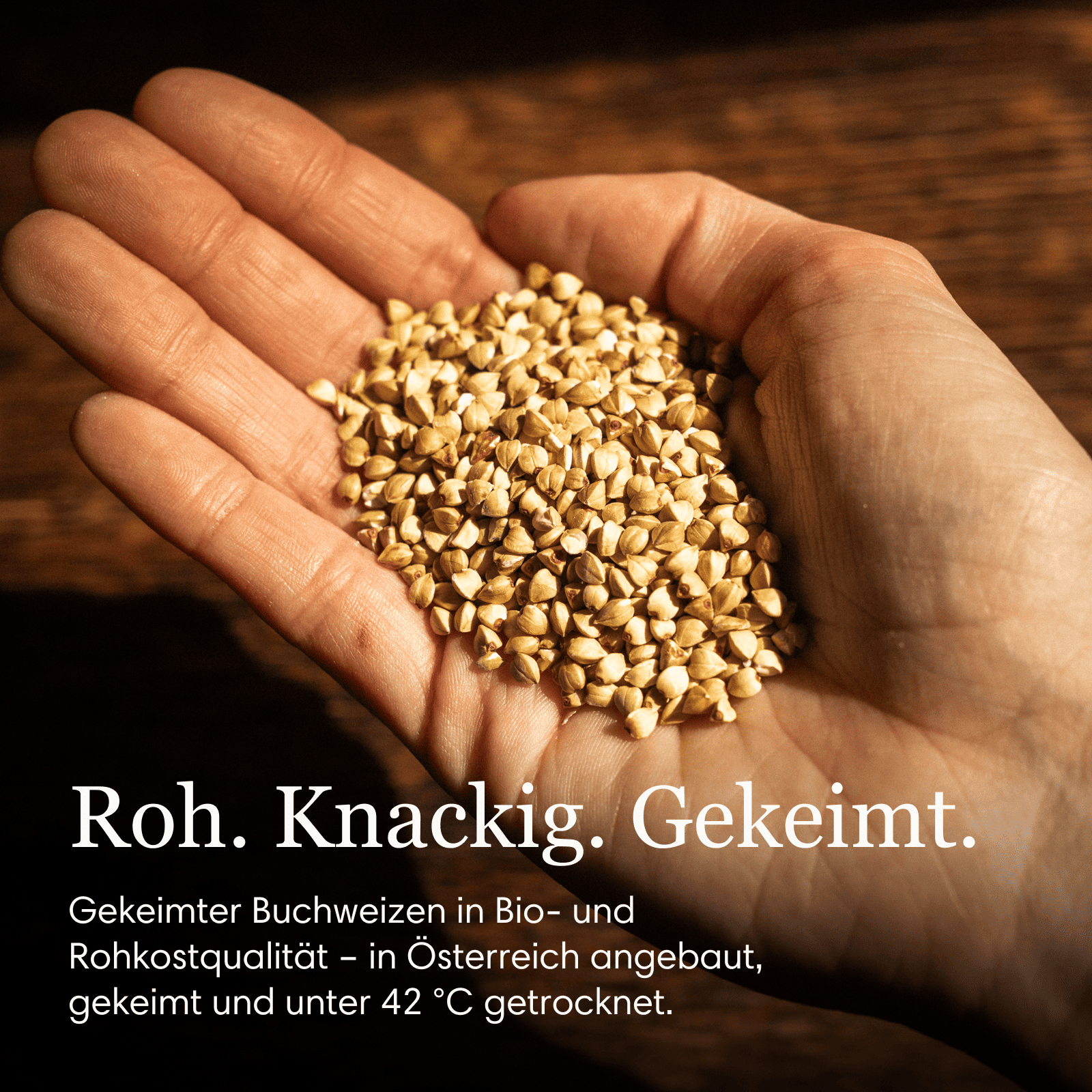 Buchweizen, angekeimt, bio